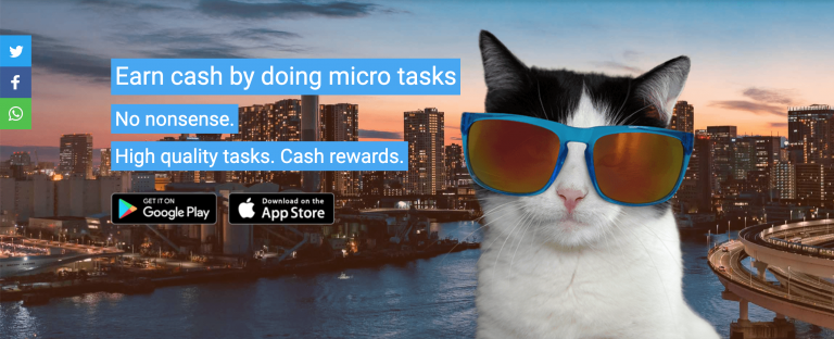 Curious Cat survey app