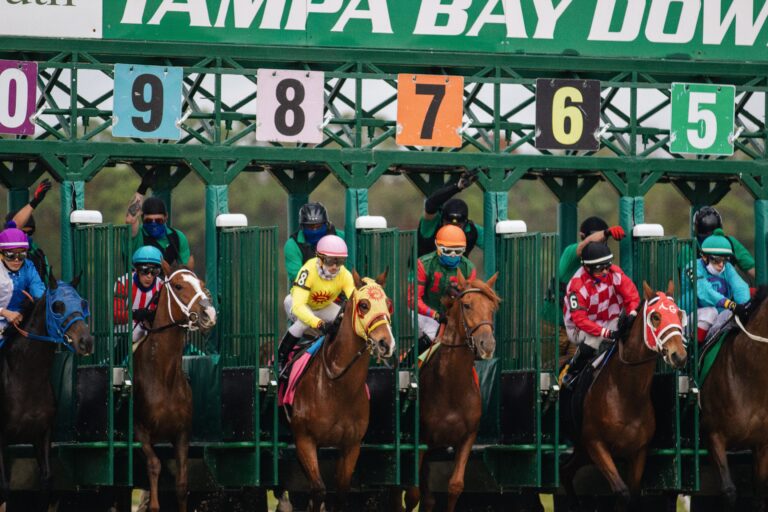 getting help with matched betting